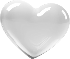 mitm study is section